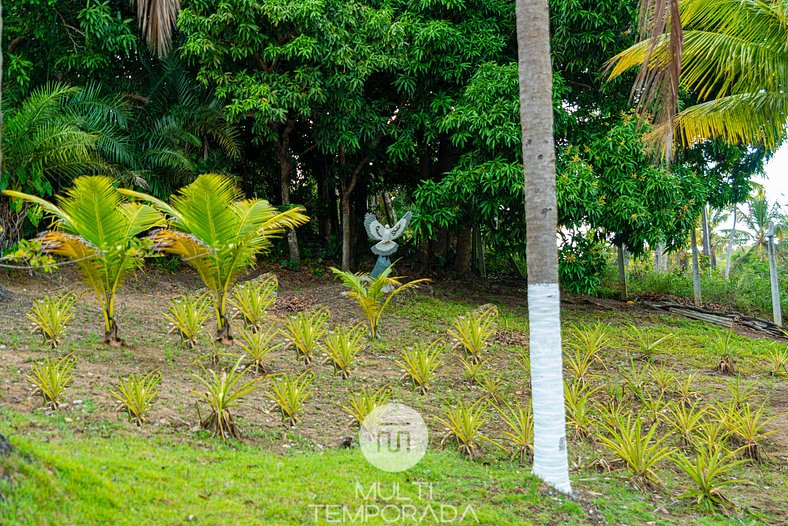 Chácara Shallon Recanto em São Miguel dos Milagres